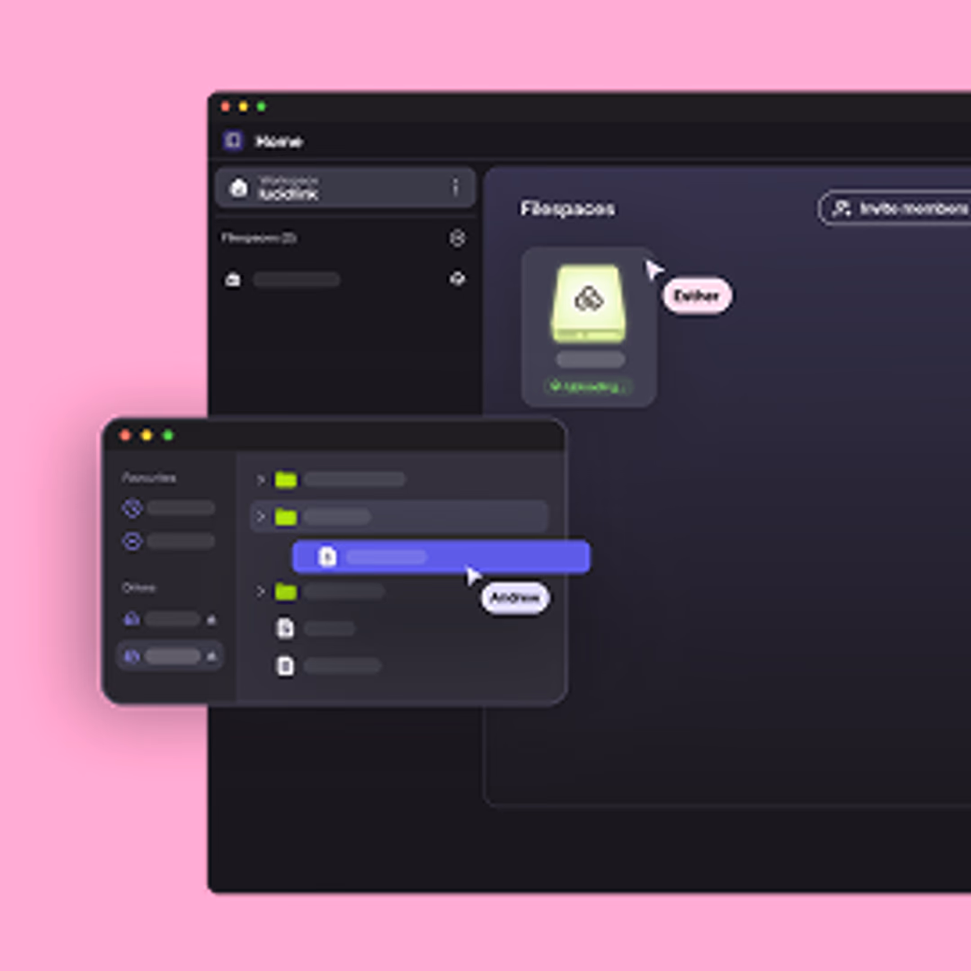 Lucidlink interface