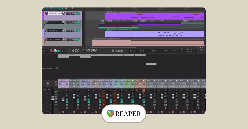 Reaper interface