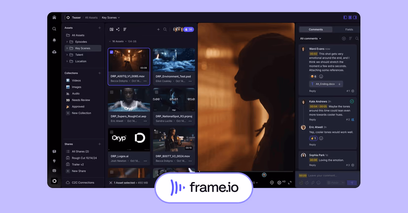 Frame.io interface