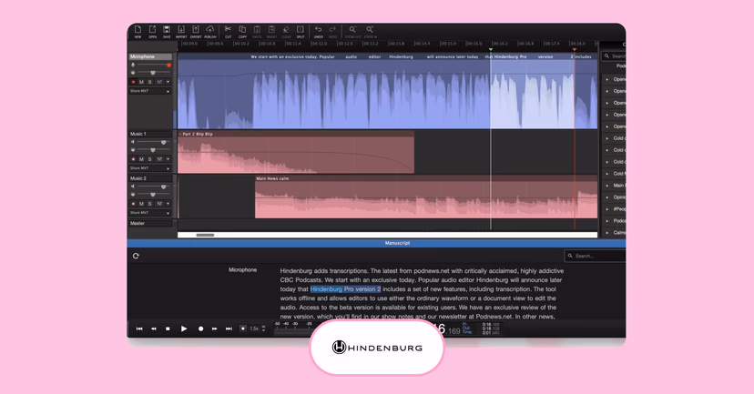 Hindenburg interface
