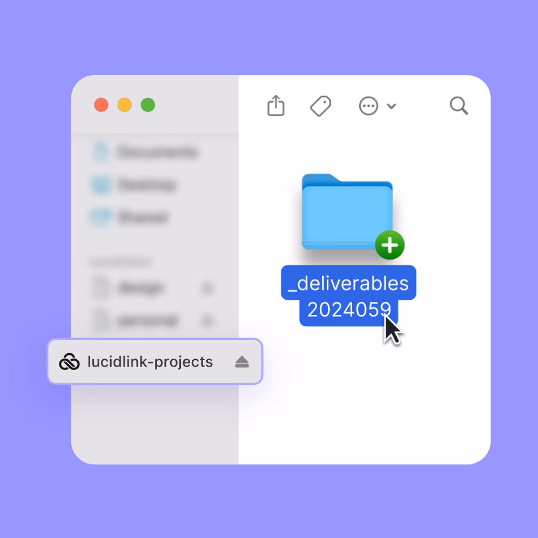 A folder with deliverables on LucidLink.