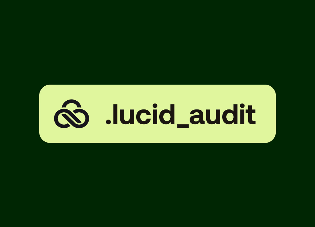 LucidLink .lucid_audit file label on a dark green background.