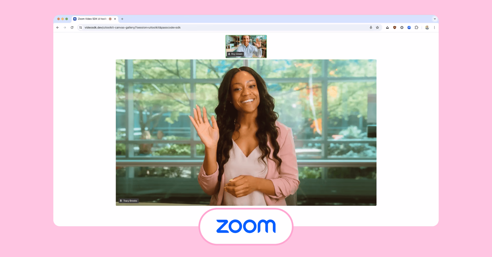 Zoom Interface