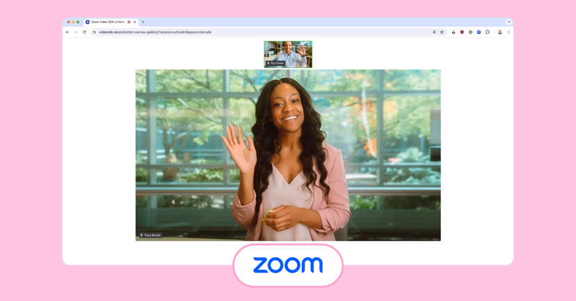 Zoom interface