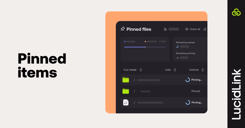 Pinned-items interface